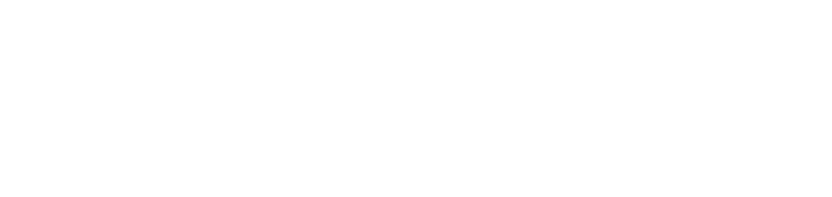 SkyView Investment Advisors